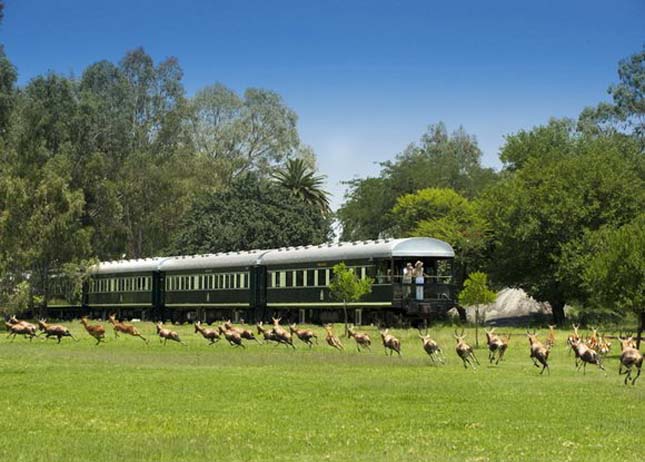 The company Rovos Rail train (Rovos Rail), Dél-Afrika